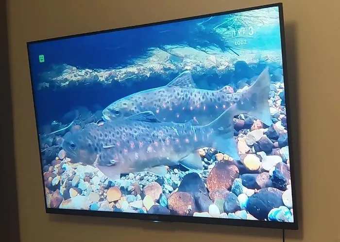 Διαμέρισμα Matejko